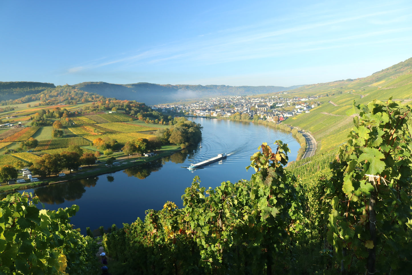Riesling